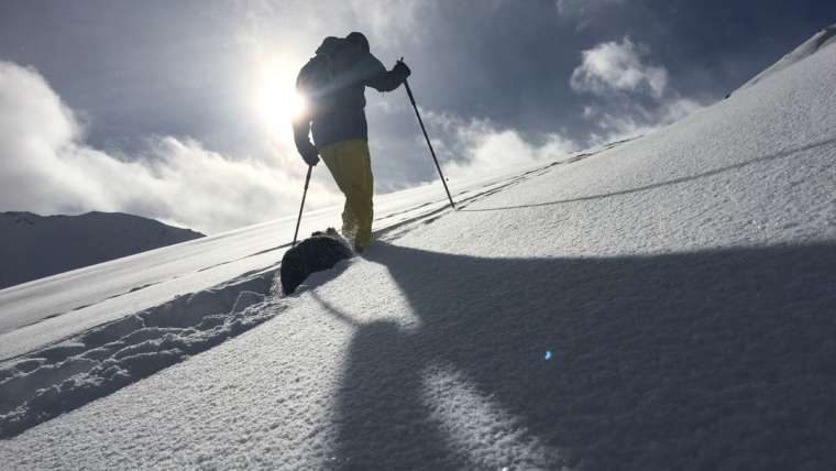 SKIALP + TEST CENTRUM
