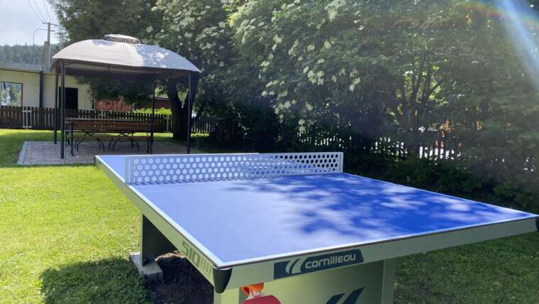 STOLNÍ TENIS NA FAŘE